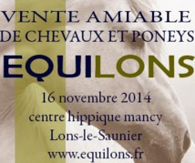 Equilons - vente amiable de chevaux et poneyx