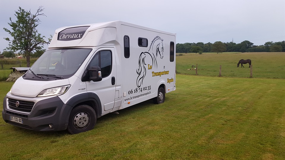 Le transport de votre cheval