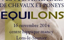 Equilons - vente amiable de chevaux et poneyx